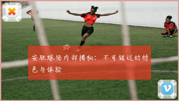 安联球场内部揭秘：不可错过的特色与体验