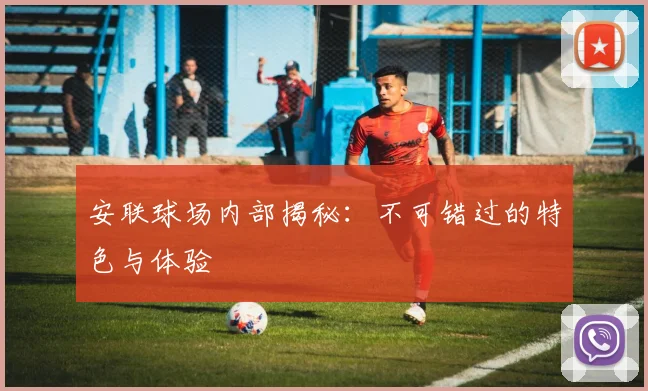 安联球场内部揭秘：不可错过的特色与体验