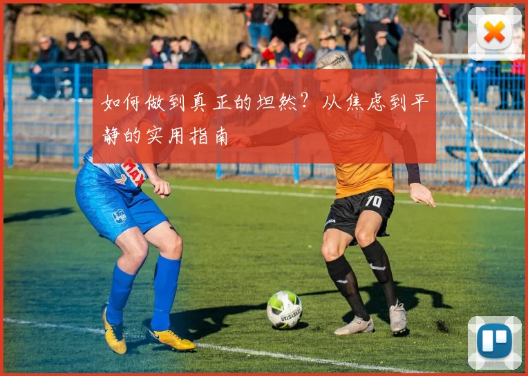如何做到真正的坦然？从焦虑到平静的实用指南